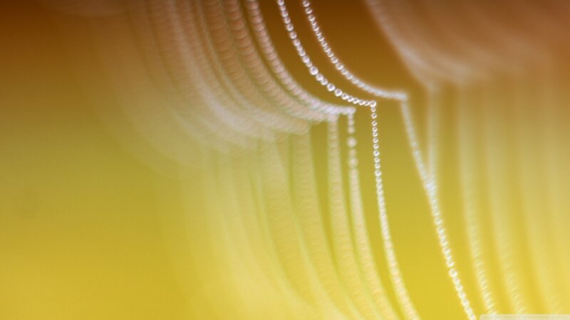 Abstract Light Patterns — Yellow, Serene