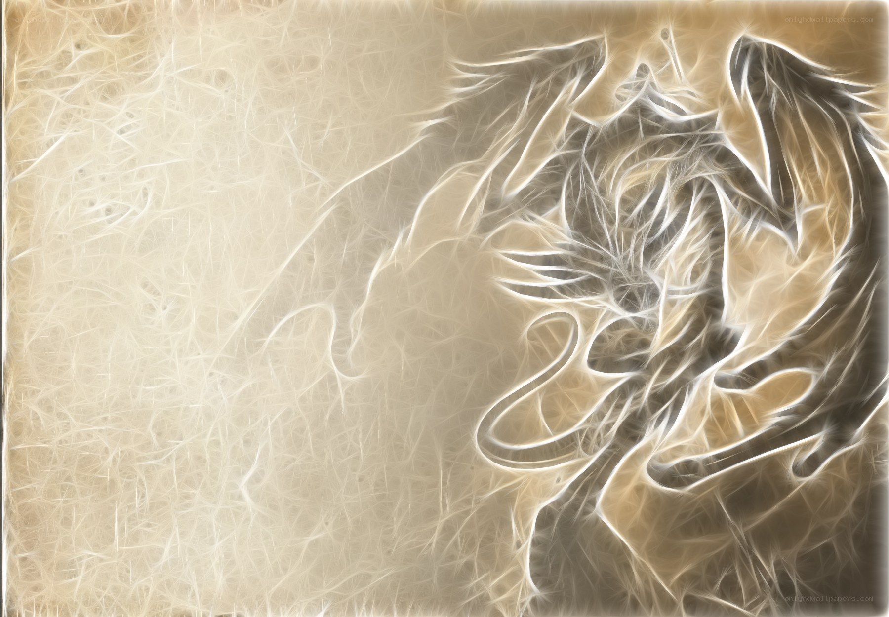Abstract light swirl design