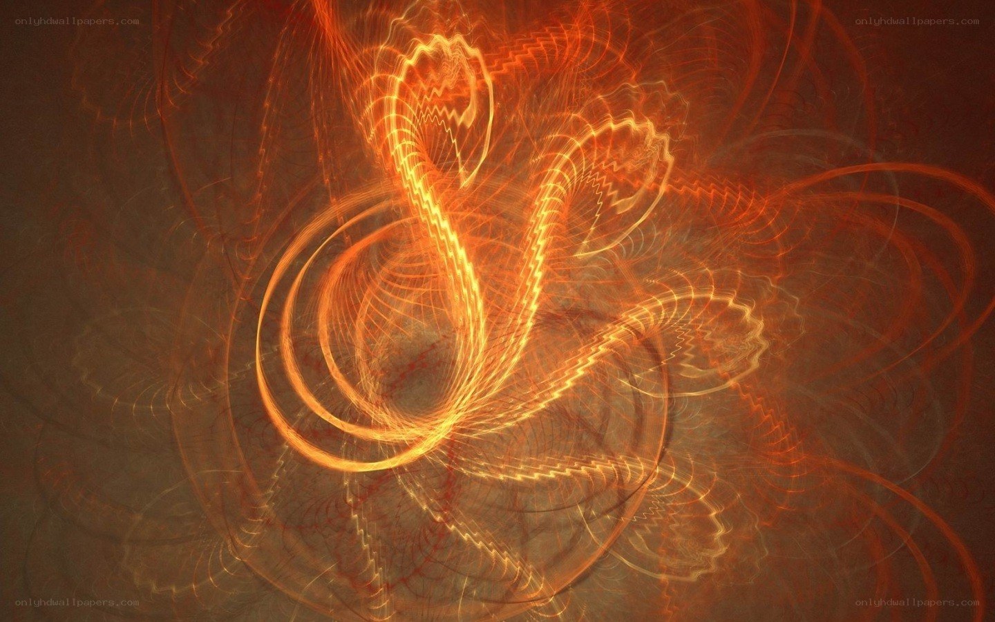 Abstract light swirls
