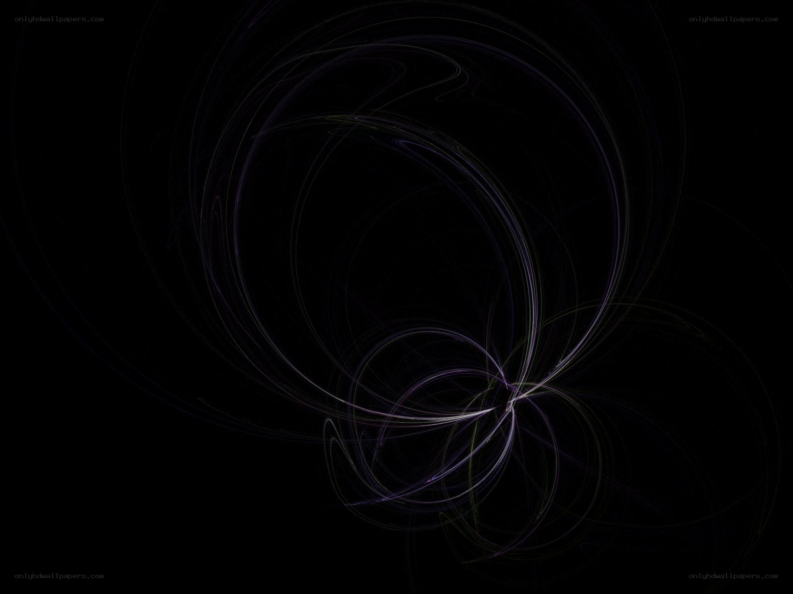 Abstract light swirls on black