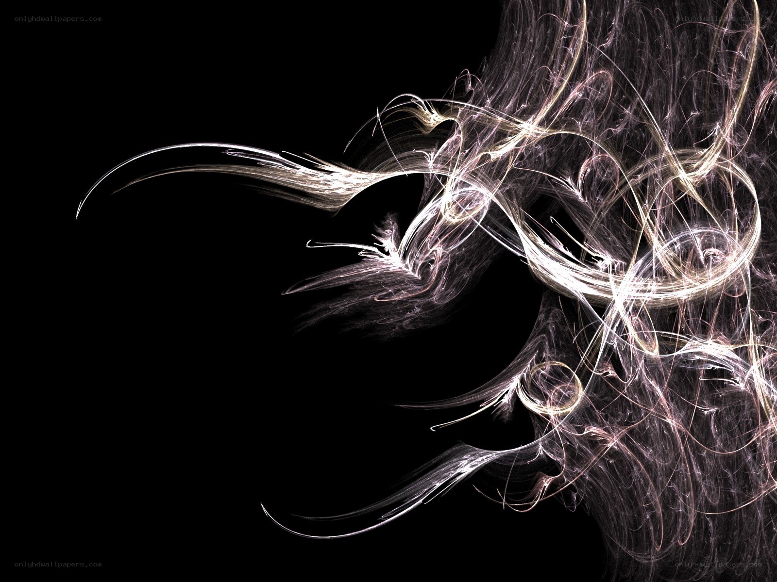abstract light swirls on black