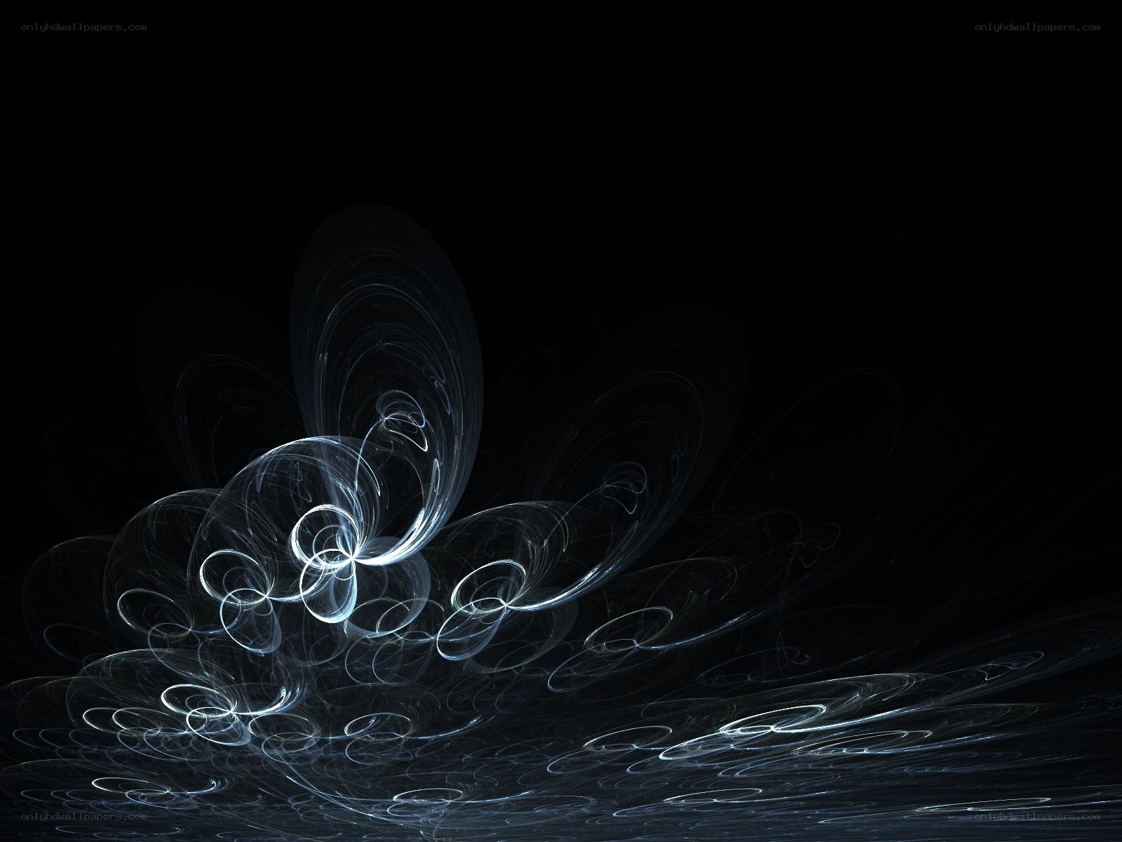 Abstract light swirls on black