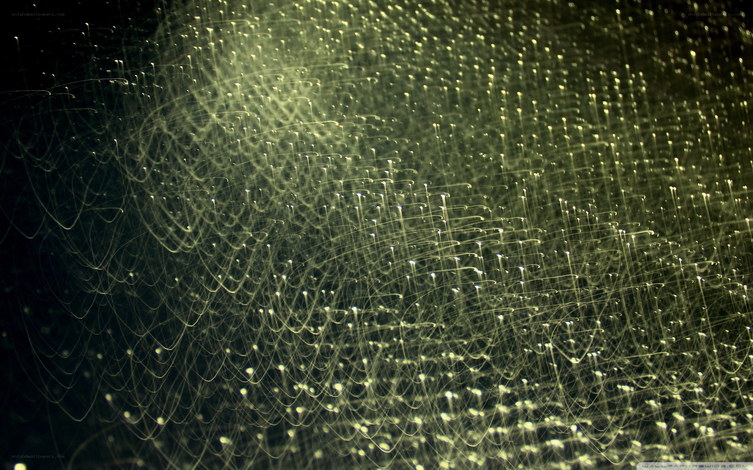 abstract light trails