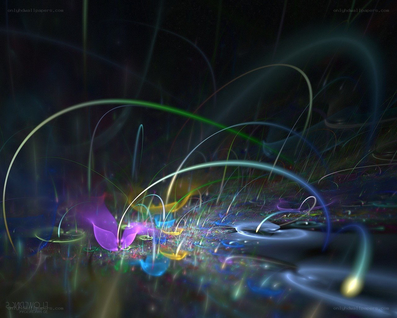 Abstract light trails and fractal patterns