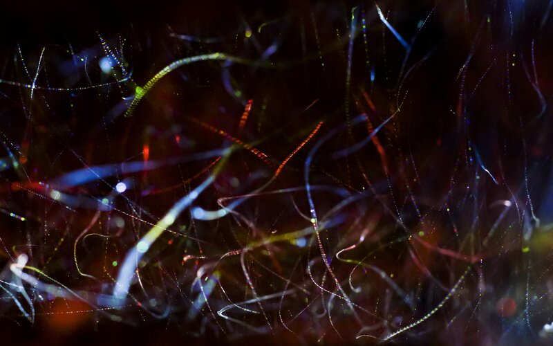 Abstract light trails in darkness