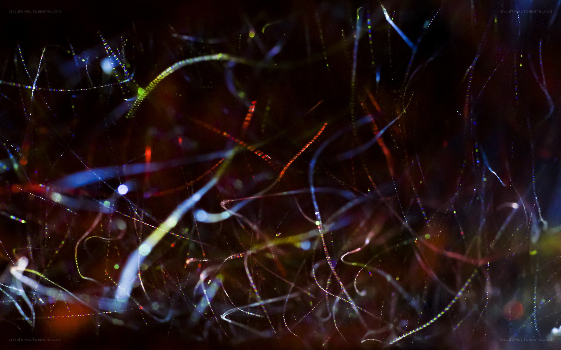 Abstract light trails in darkness