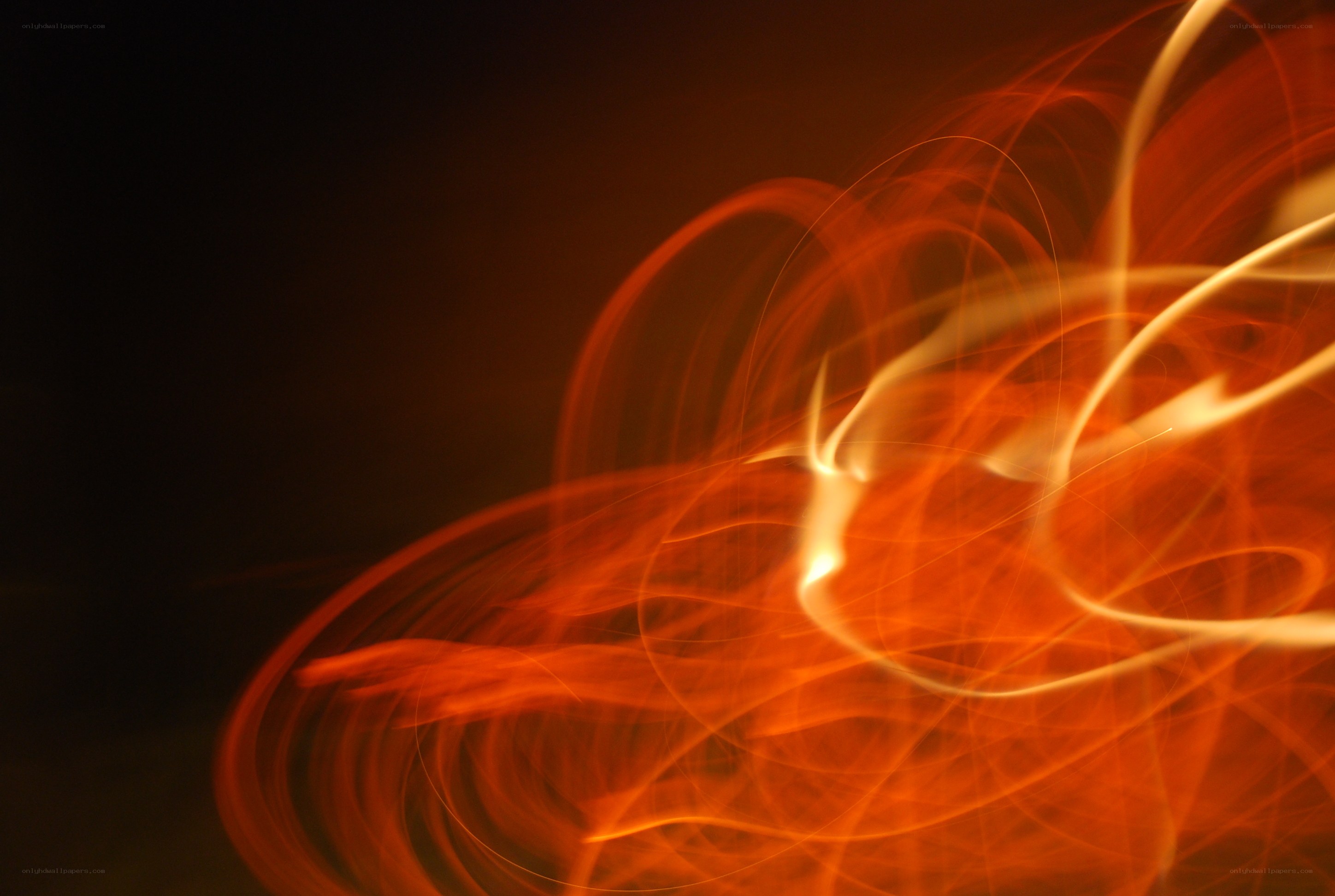 Abstract light trails in motion