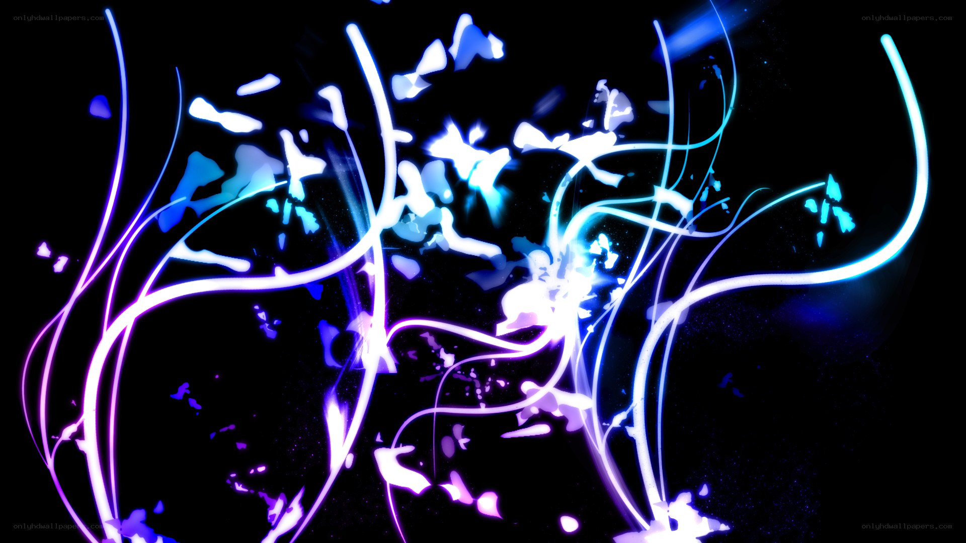 Abstract light trails on black