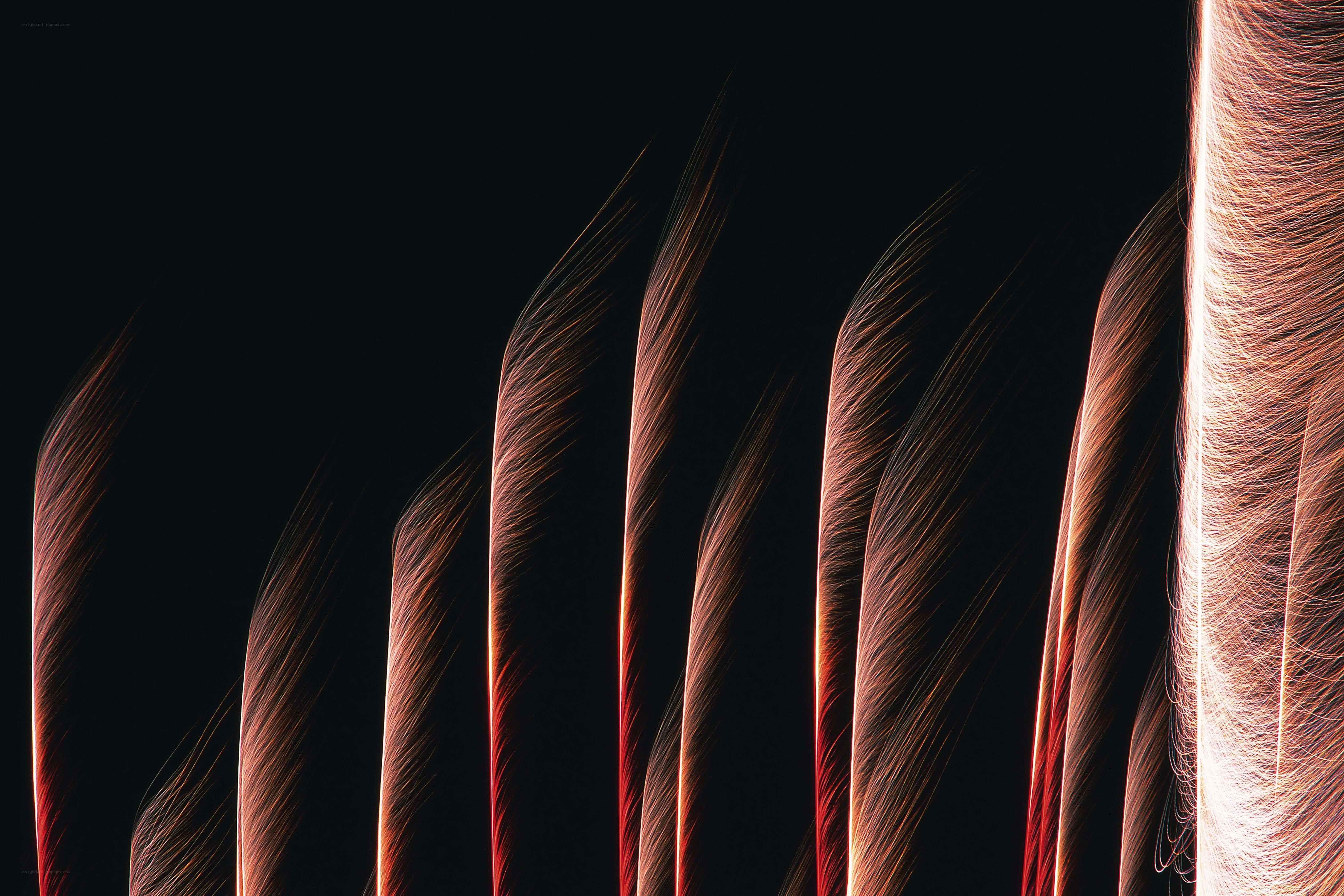 Abstract light trails on black