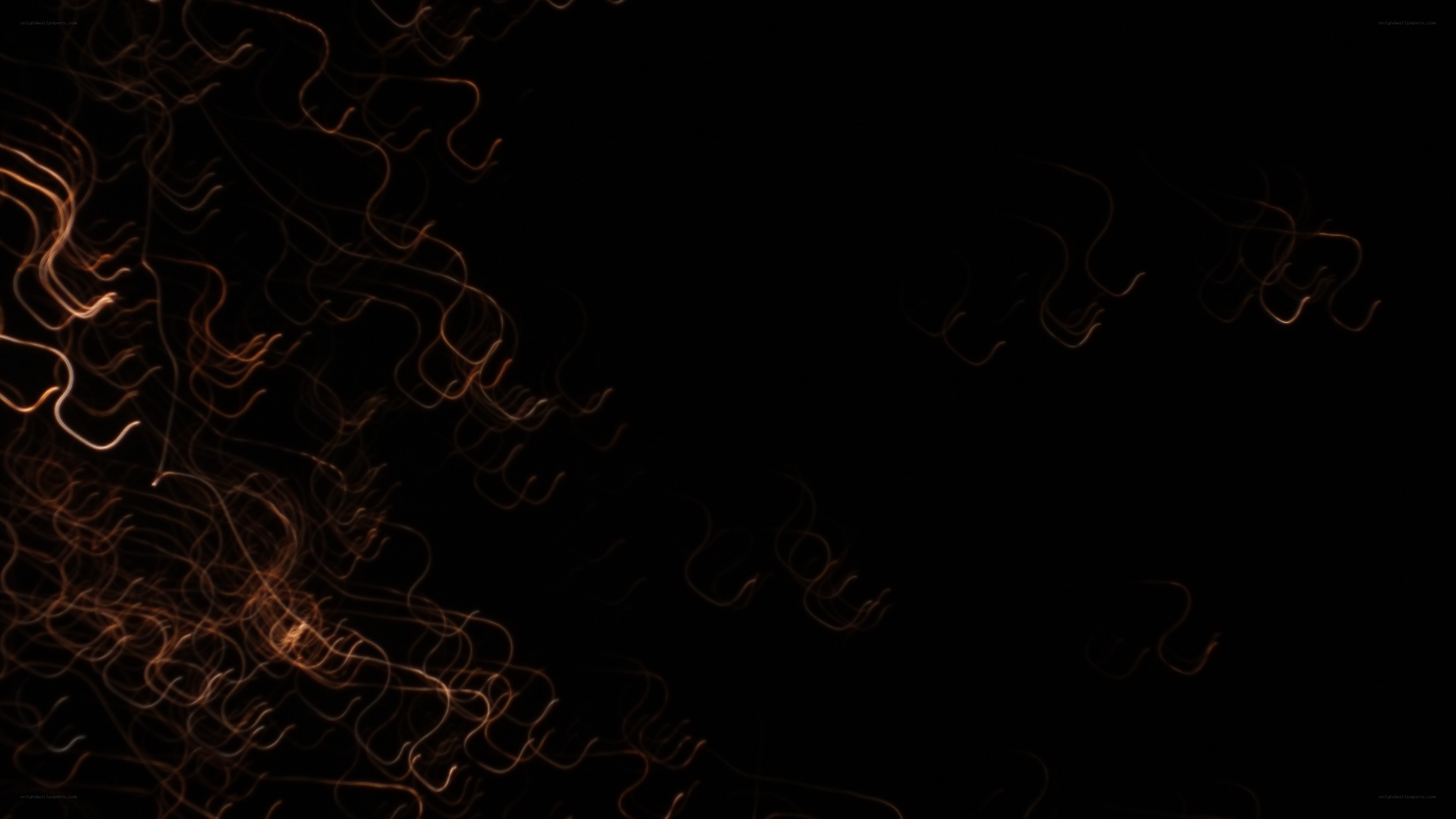 abstract light trails on black