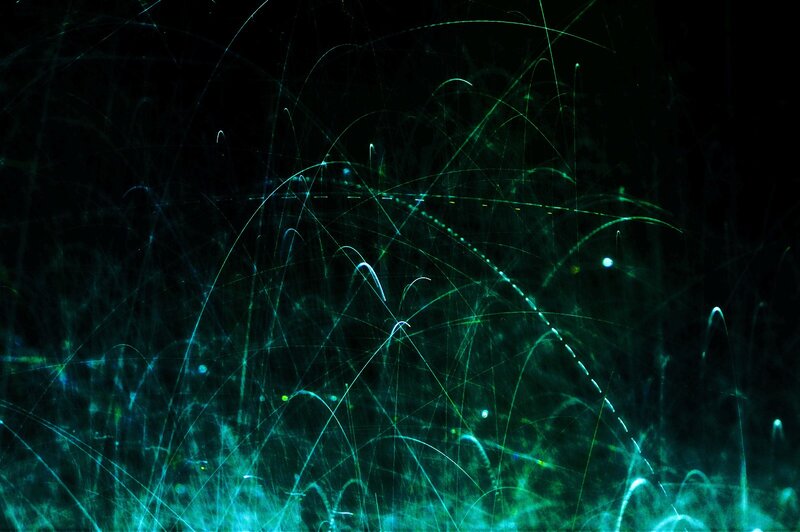 Abstract light trails on black