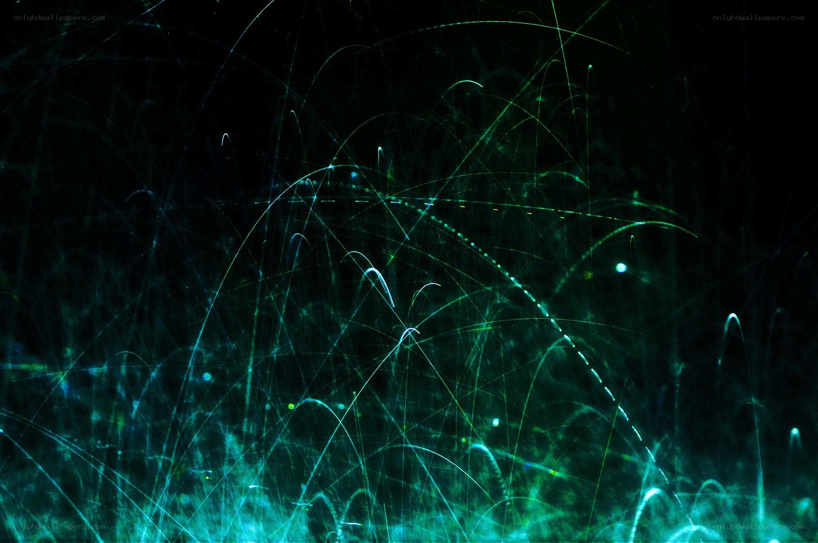 Abstract light trails on black