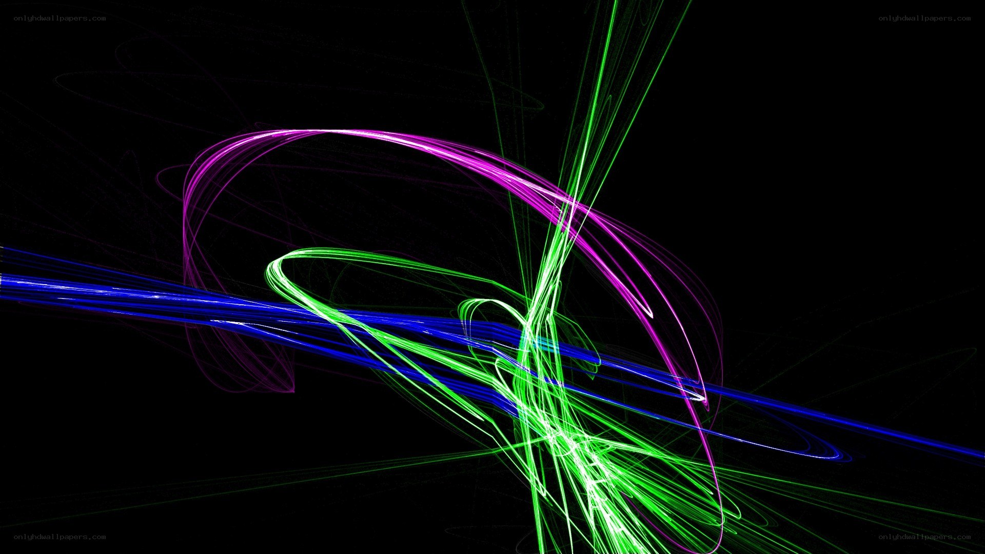 Abstract light trails on black