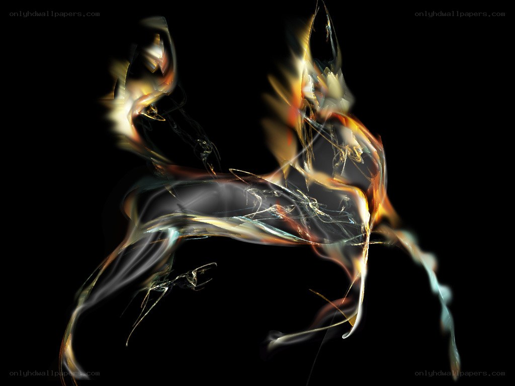 Abstract light trails on black