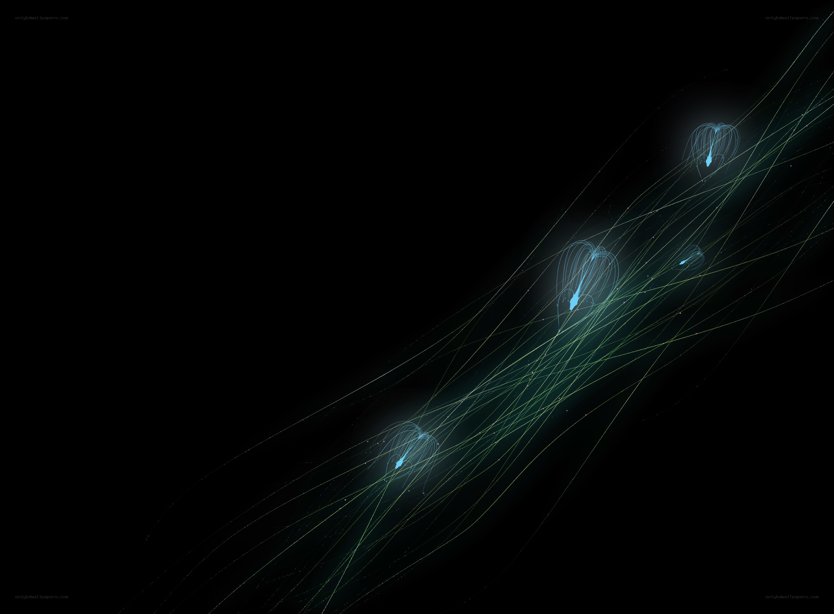 Abstract light trails on black