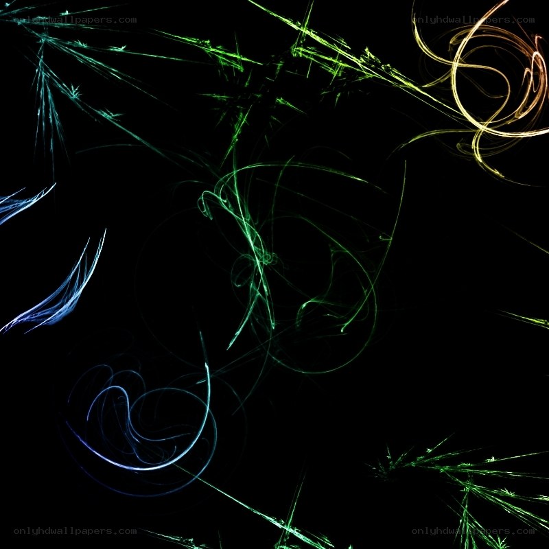Abstract light trails on black