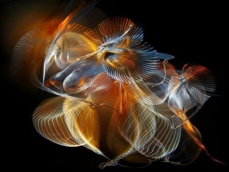 Abstract Light Trails — Orange