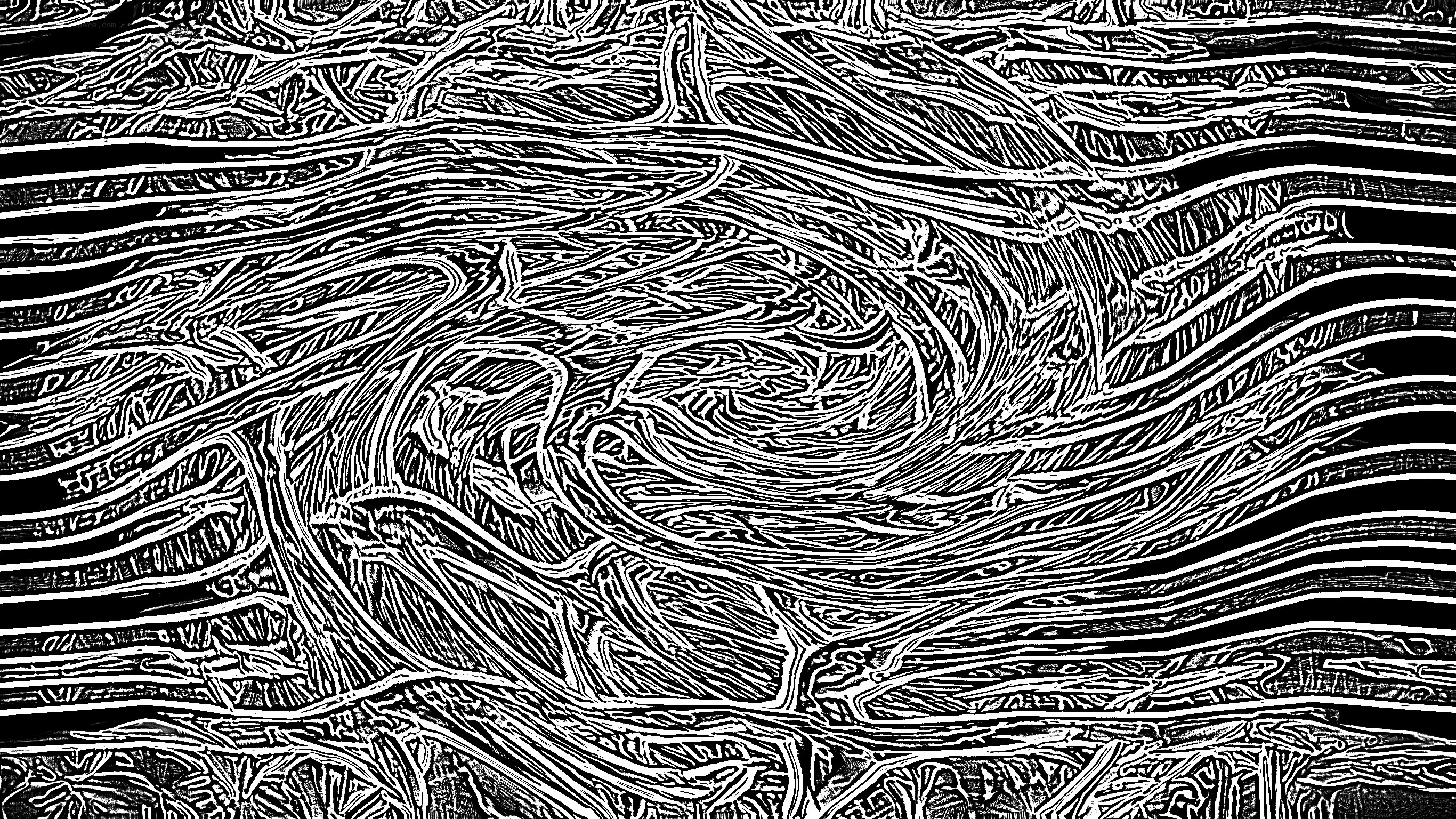 abstract line art pattern