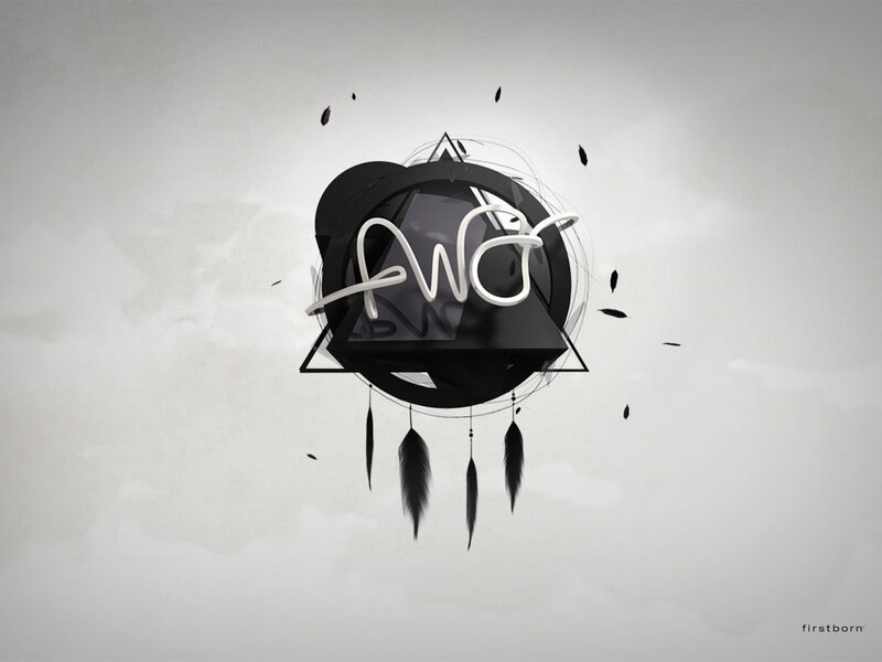 abstract logo with feathers