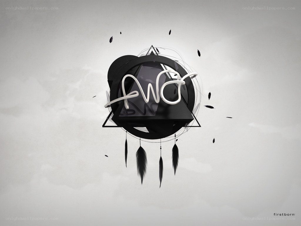 abstract logo with feathers