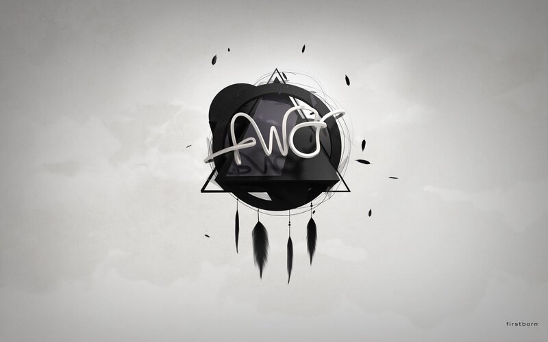 abstract logo with feathers