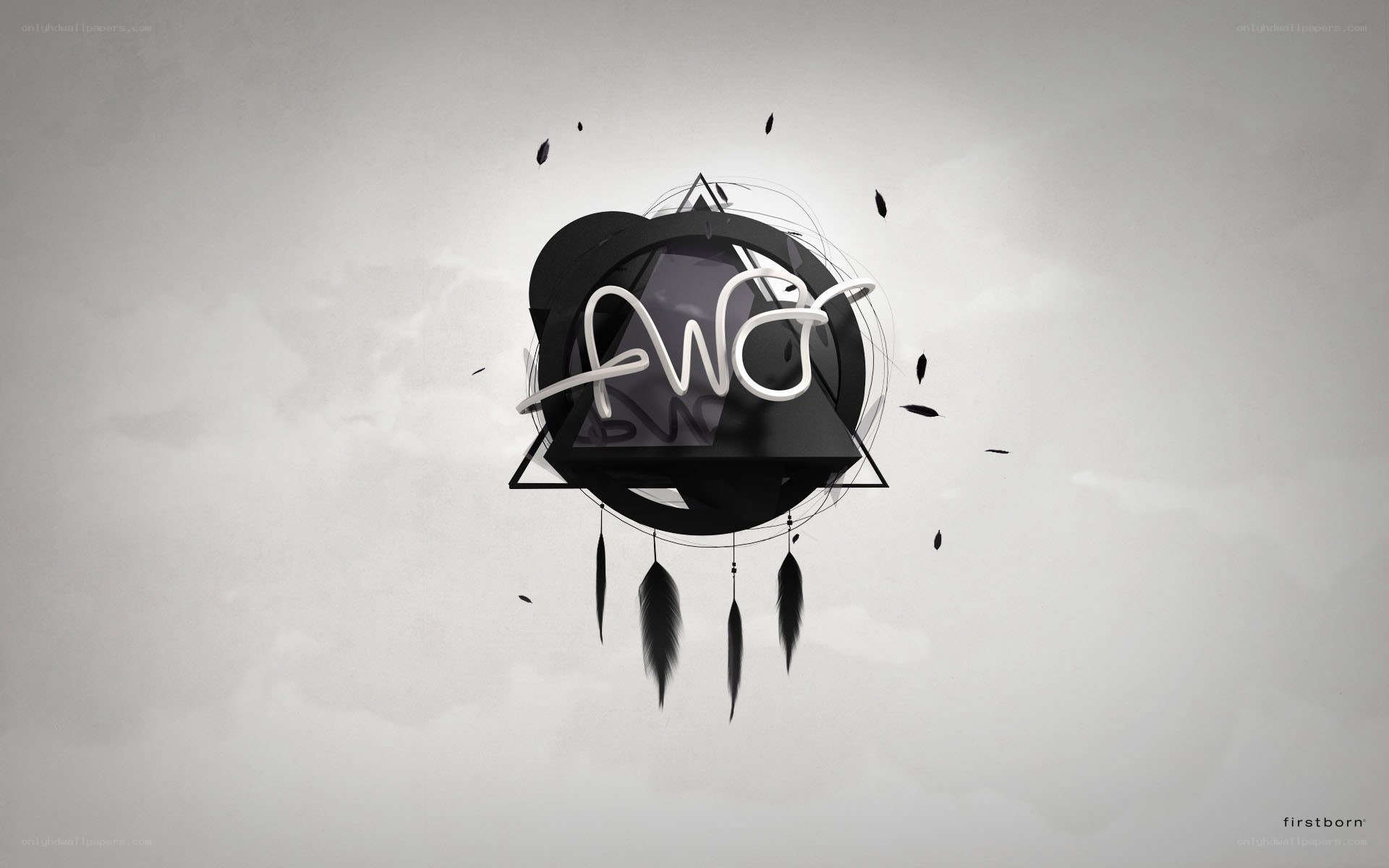 abstract logo with feathers