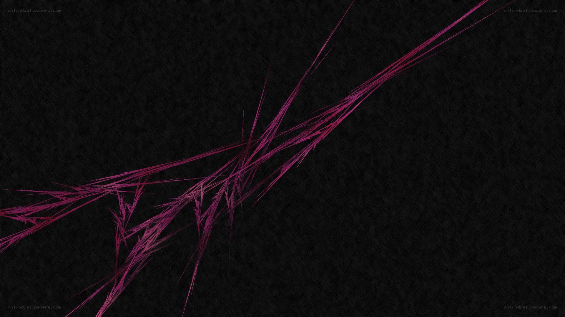 abstract magenta lines on black