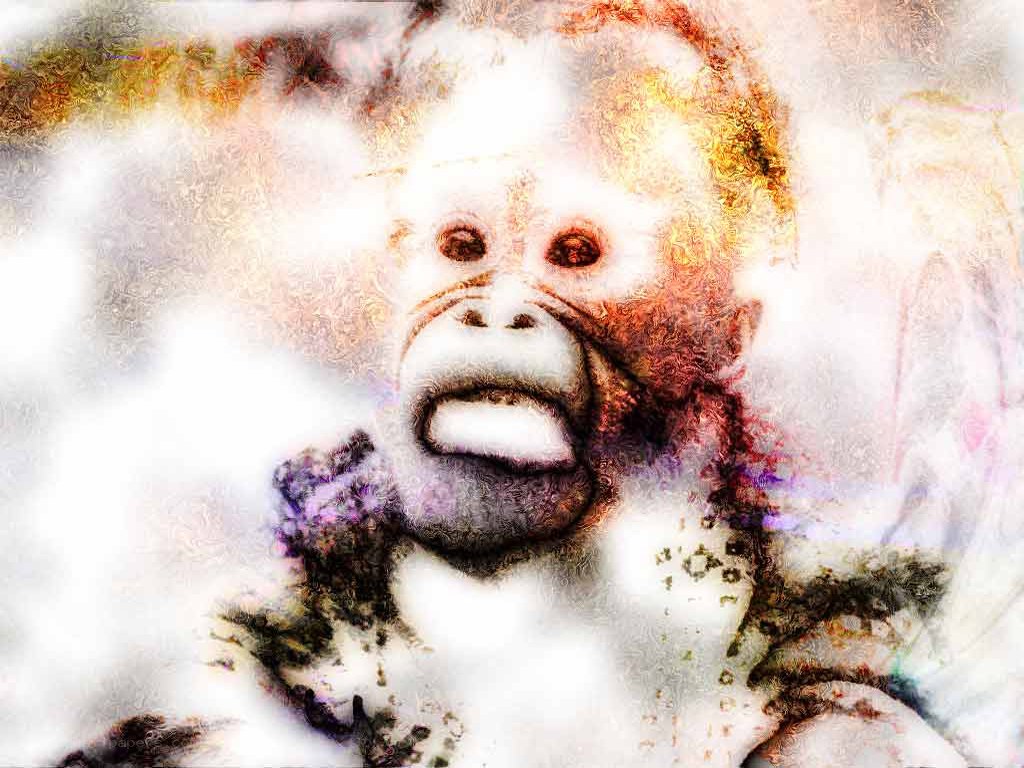abstract monkey portrait