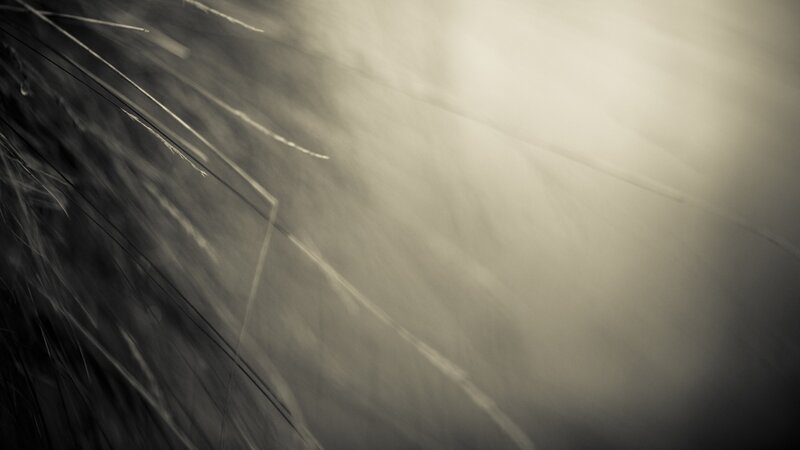 Abstract motion blur with light streaks