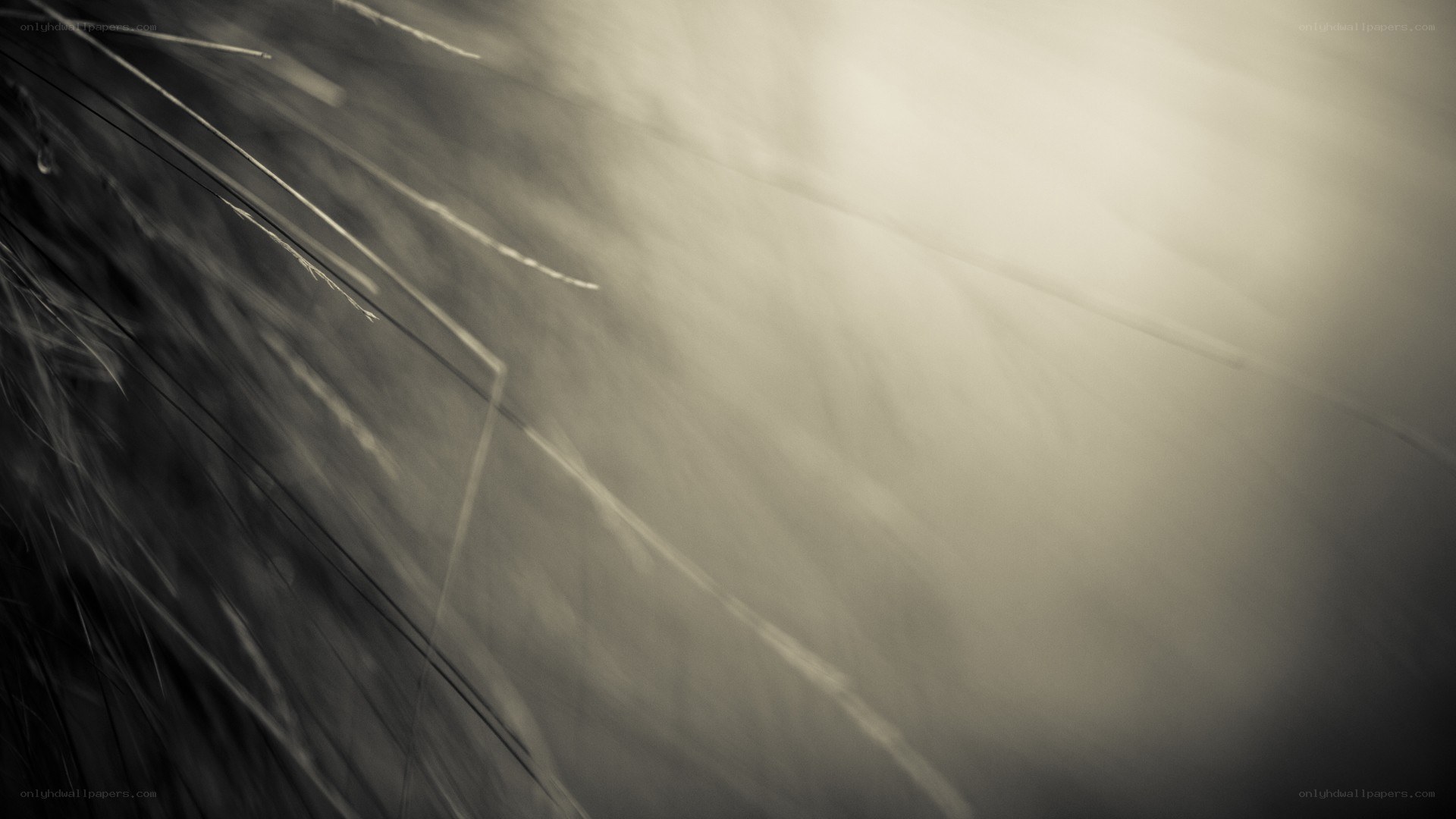 Abstract motion blur with light streaks