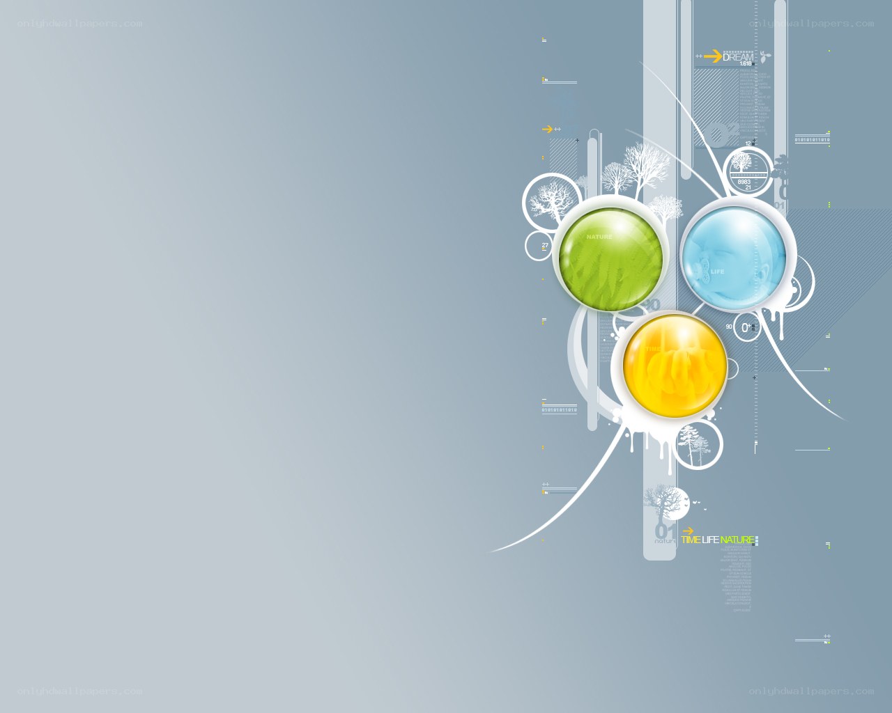 abstract nature design with bubbles