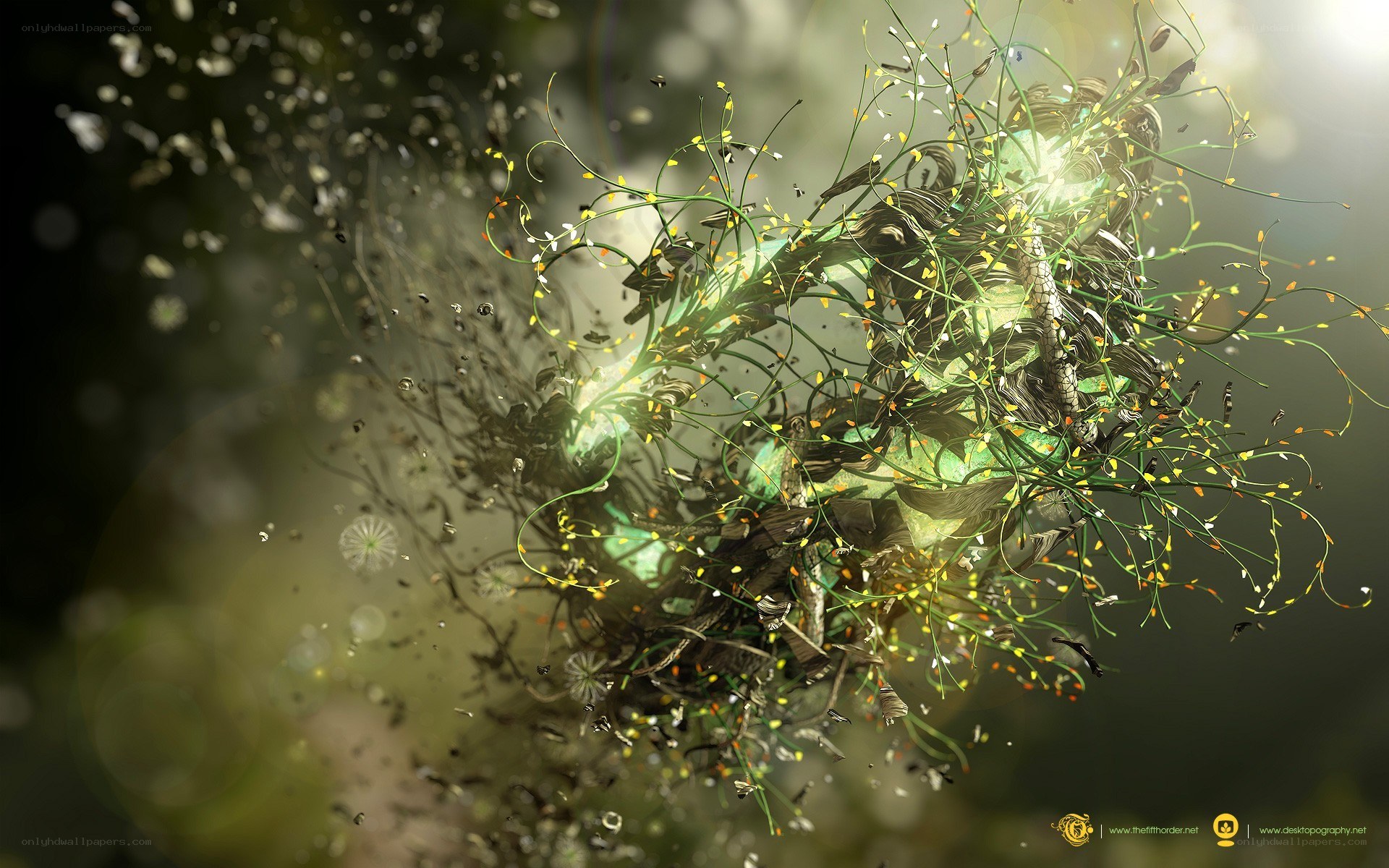 Abstract nature explosion