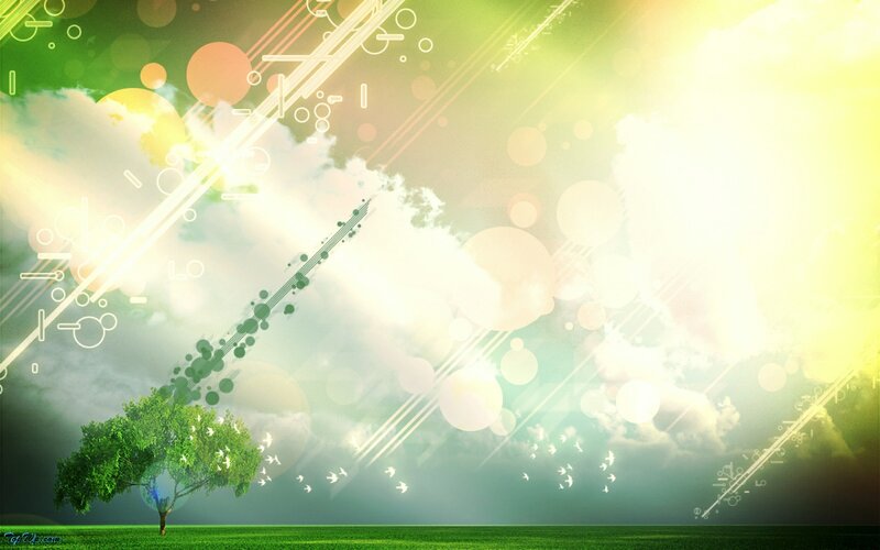abstract nature with tree and light