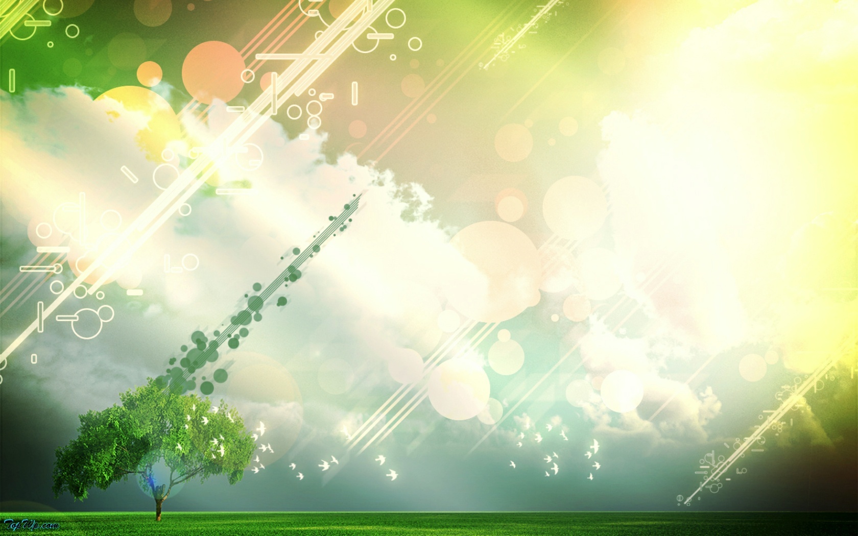 abstract nature with tree and light