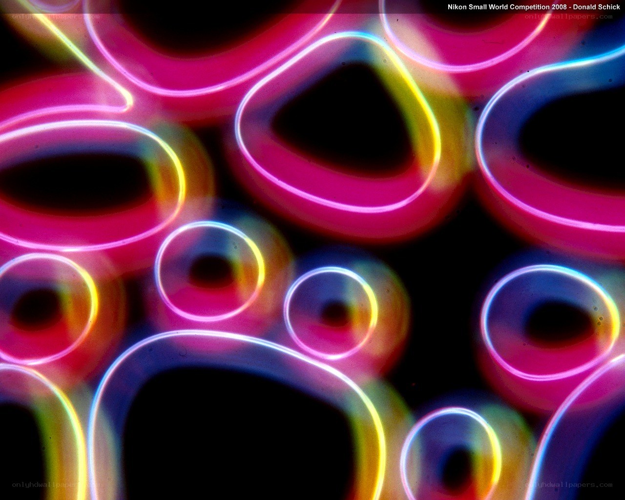 Abstract neon light patterns