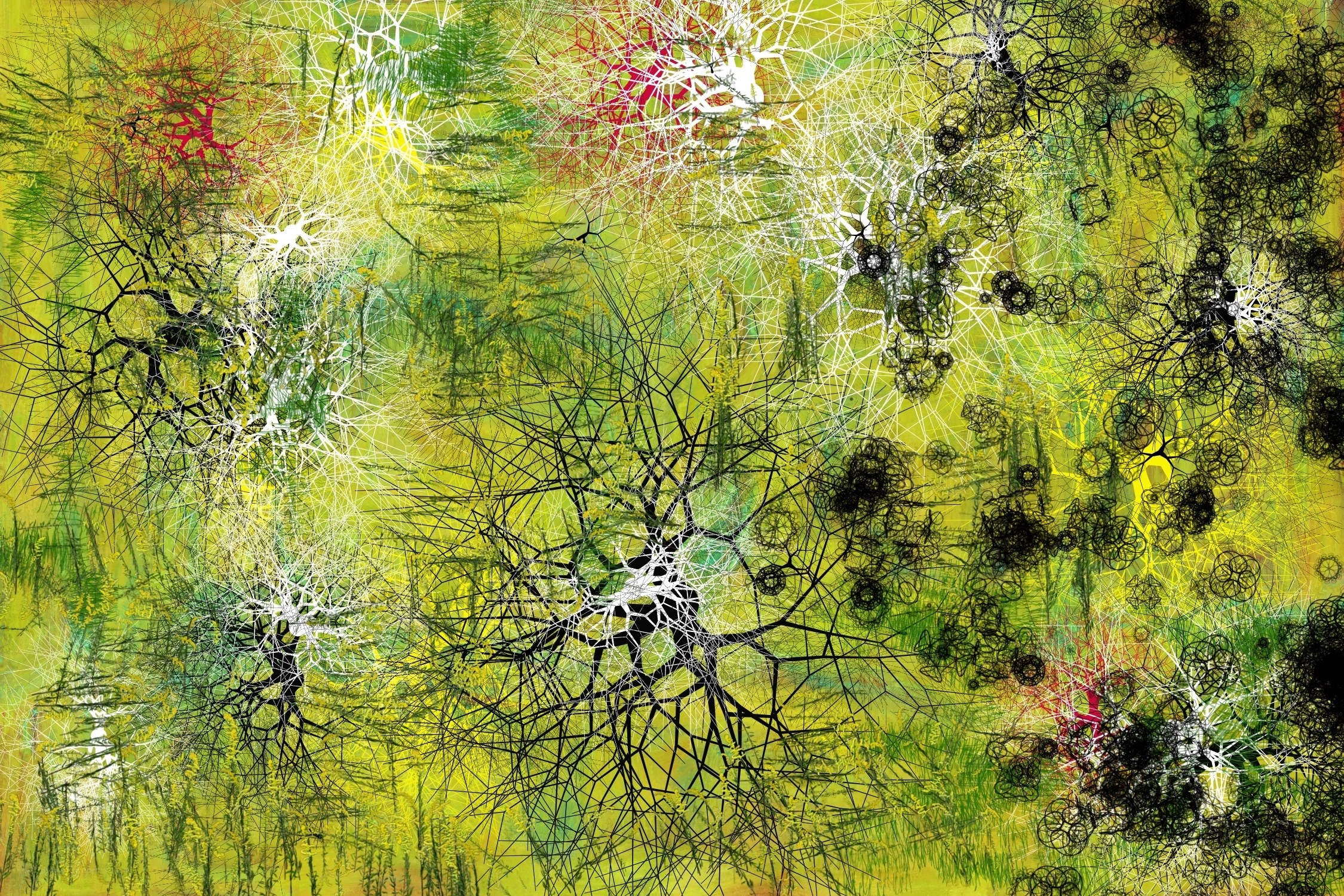 Abstract network patterns