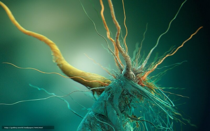 Abstract neural network structure