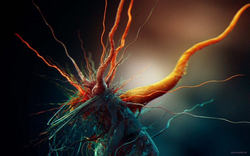 Abstract neural network visualization