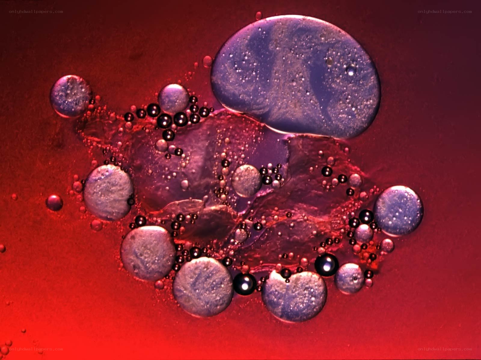 Abstract oil bubbles on red