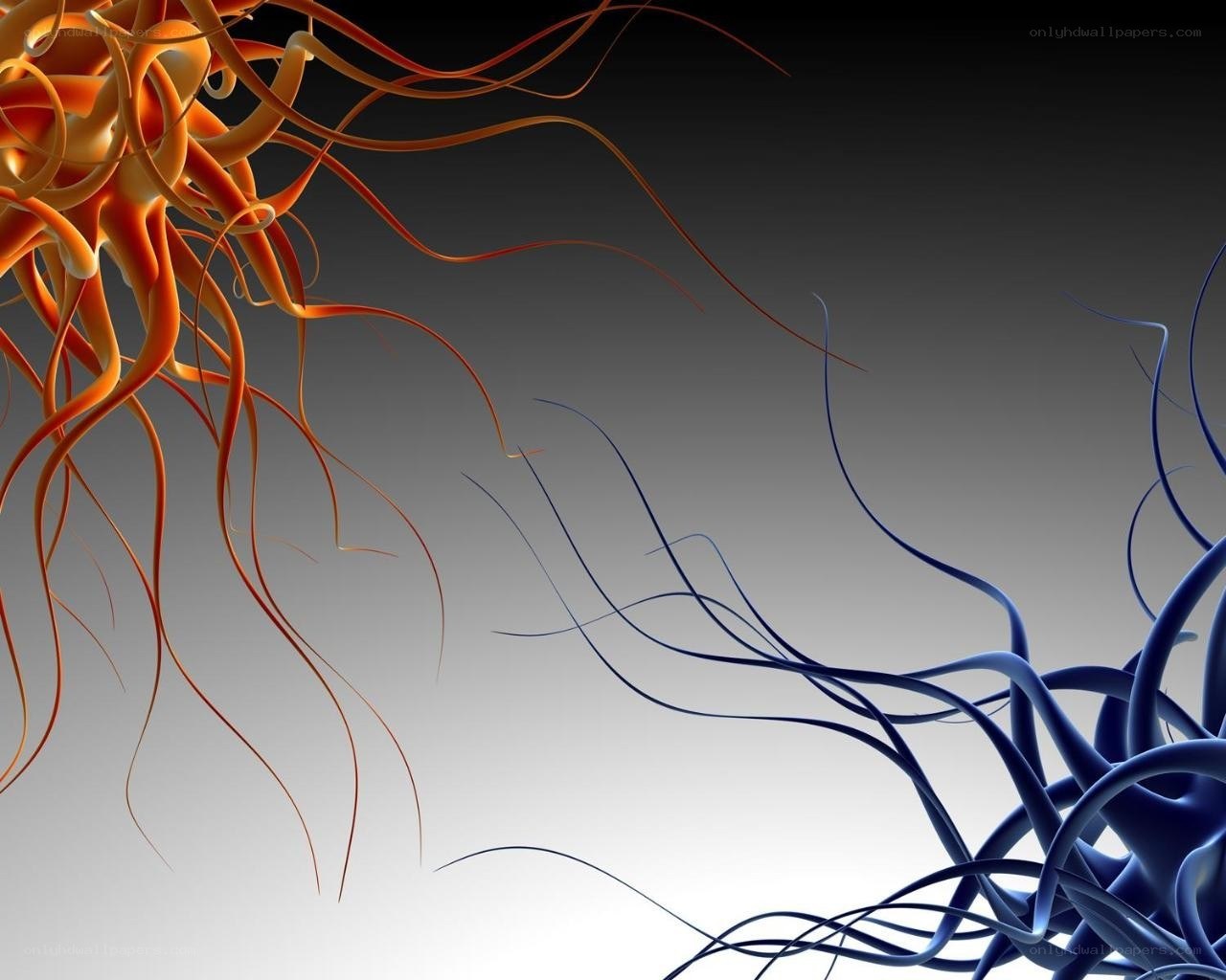 Abstract orange and blue tendrils