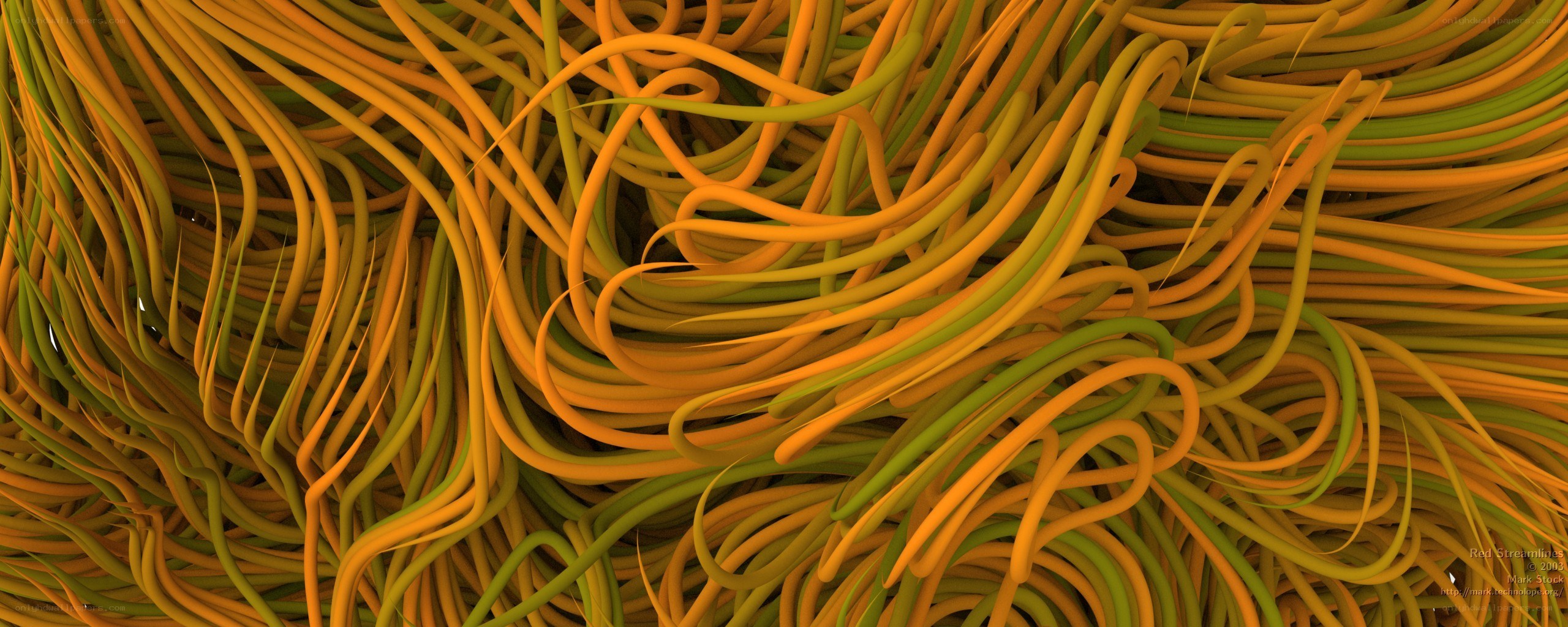 Abstract orange and green strands