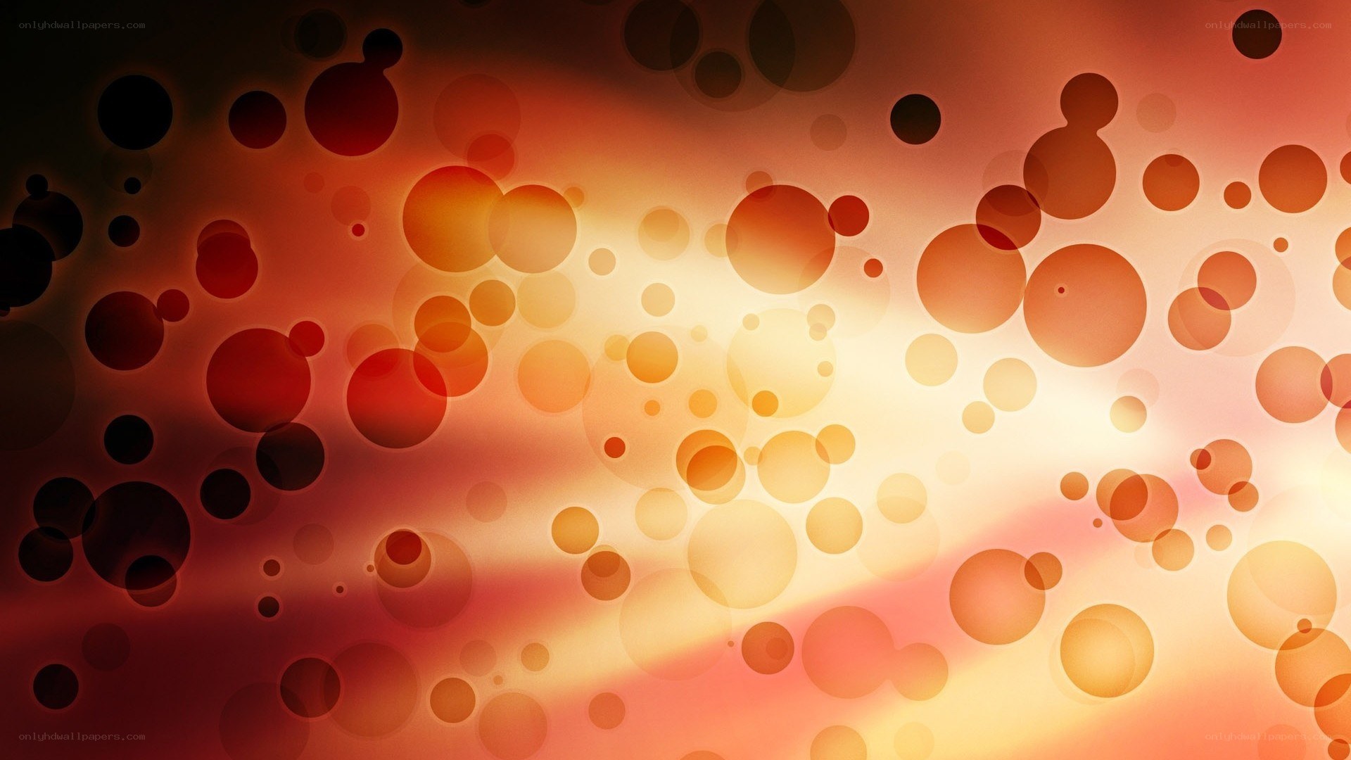 abstract orange and red circles