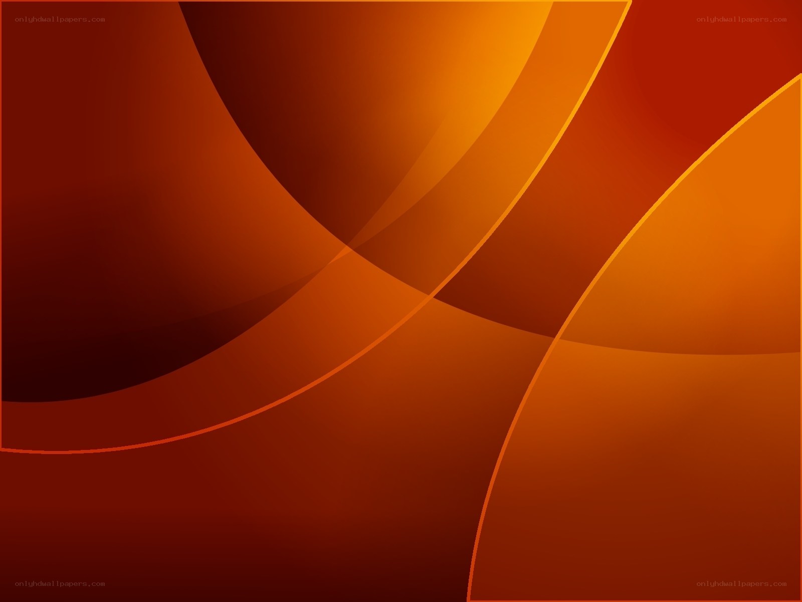 abstract orange curves