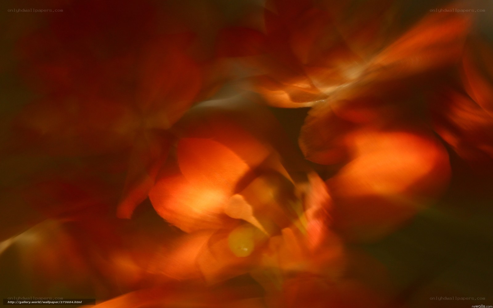 abstract orange floral blur