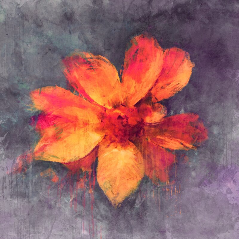 Abstract Orange Flower