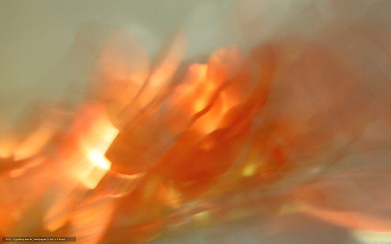 Abstract orange light blur