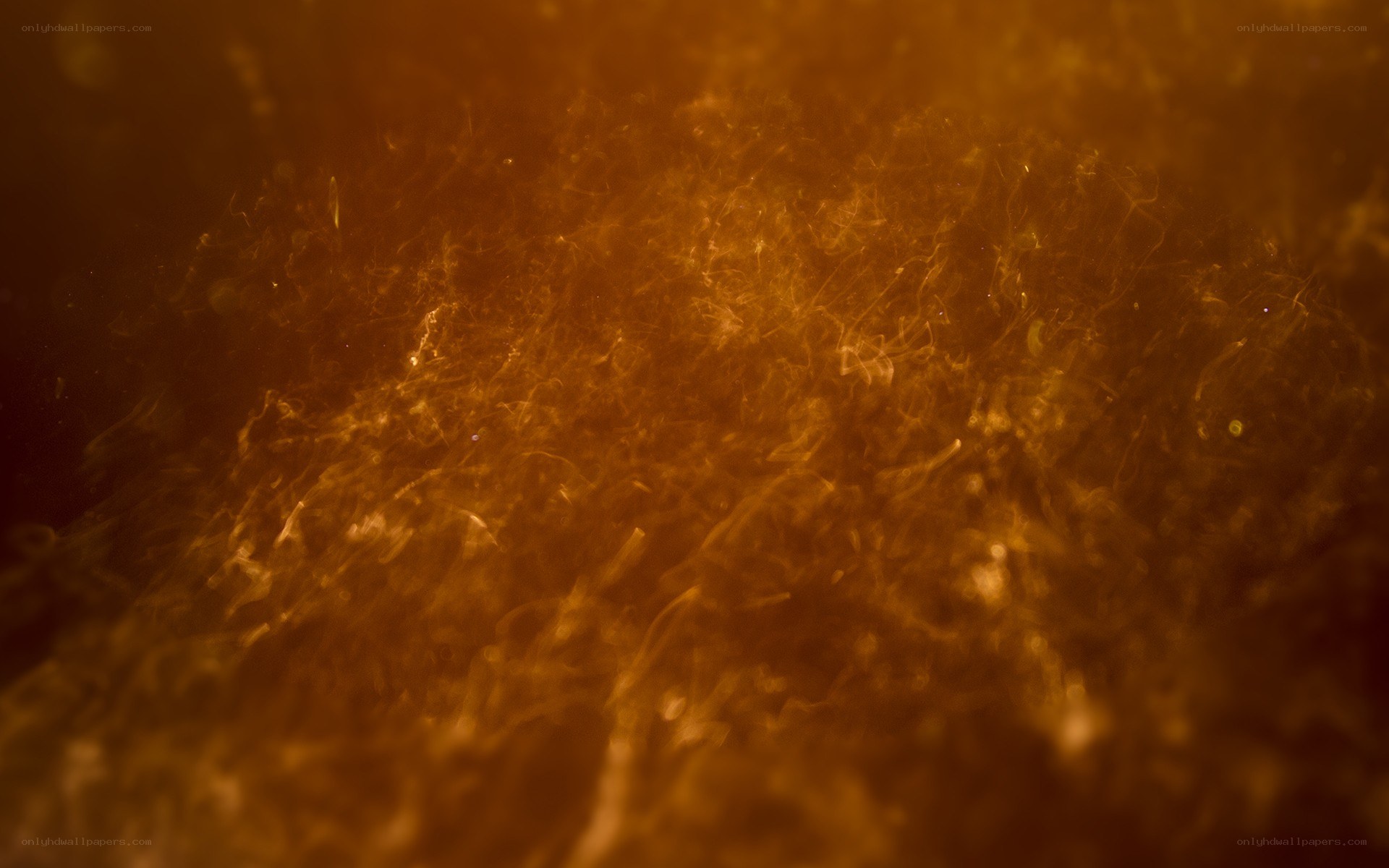 abstract orange smoke texture