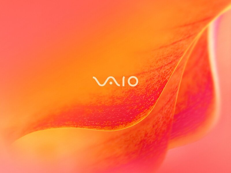 Abstract Orange Swirl — Warm, Text