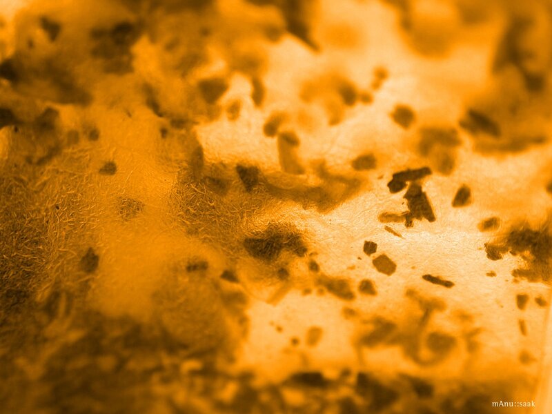 abstract orange texture