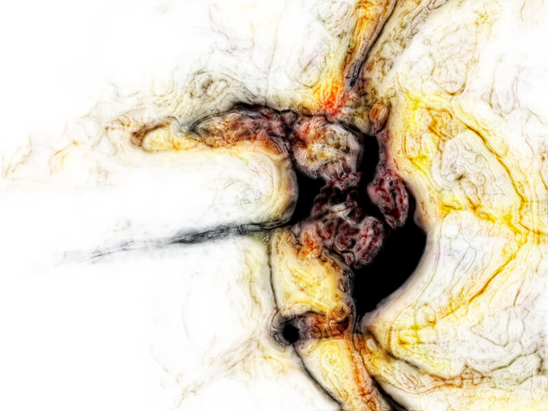 Abstract Organic Form — White